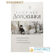 Если нет духовника. Ответы священников на вопросы о вере и христианской жизни