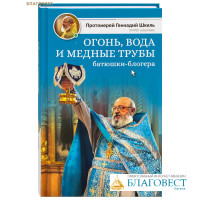 Огонь, вода и медные трубы батюшки-блогера