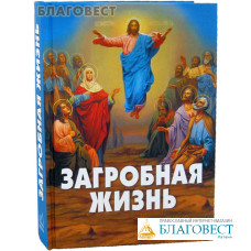 Загробная жизнь