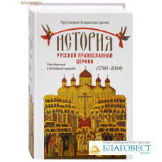История Русской Православной Церкви. Синодальный и Новейший периоды 1700-2024. Протоиерей Владислав Цыпин