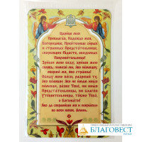 Магнит Молитва Богородице "Царице моя Преблагая..."