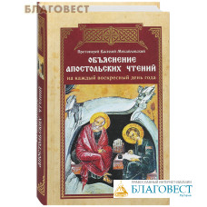 Объяснение апостольских чтений на каждый воскресный день года. Протоиерей Василий Михайловский