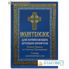 Молитвослов для начинающих крупным шрифтом. Полное Правило ко Святому Причащению. Словарь малопонятных слов